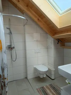 Ein Badezimmer in der Unterkunft Ferienwohnung Ardning