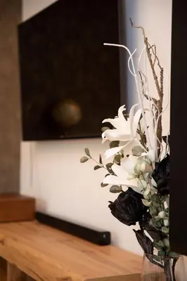TV/Unterhaltungsangebot in der Unterkunft Ferienwohnung Silvia, Mondsee Zentrum