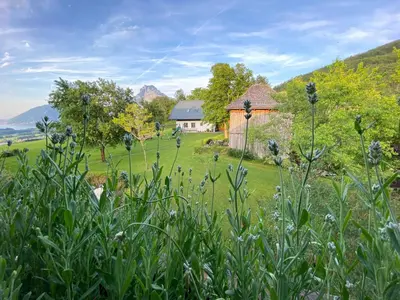 Naturlandschaft in der Nähe der Ferienwohnung