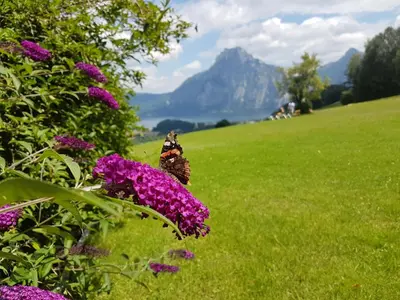 Naturlandschaft in der Nähe der Ferienwohnung