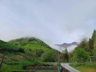 Naturlandschaft in der Nähe der Ferienwohnung