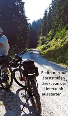 Radfahren an der Unterkunft Panorama Chalet mit Sauna Höllmaishof oder in der Nähe