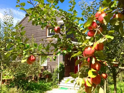 Ein Garten an der Unterkunft Green Lodge