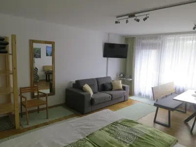 TV/Unterhaltungsangebot in der Unterkunft Apartment Naturgenuss