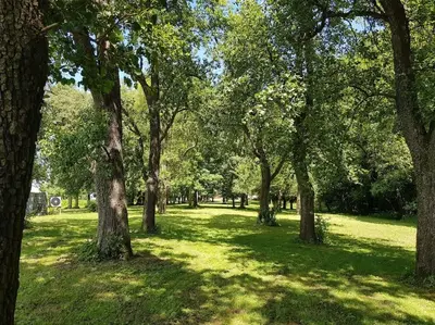 Ein Garten an der Unterkunft Historischer Gutshof, Bogensportzentrum Kremstal