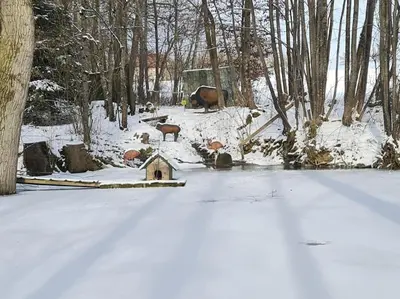 Historischer Gutshof, Bogensportzentrum Kremstal im Winter