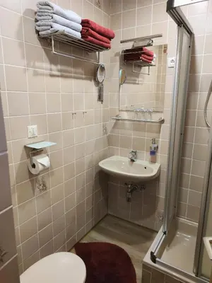 Ein Badezimmer in der Unterkunft Gästehaus Moser