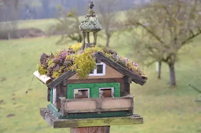 Ein Garten an der Unterkunft Holdhäusl