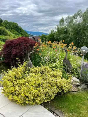 Naturlandschaft in der Nähe der Ferienwohnung