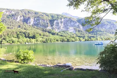Naturlandschaft in der Nähe der Ferienwohnung