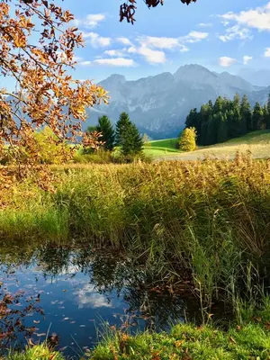Naturlandschaft in der Nähe der Ferienwohnung