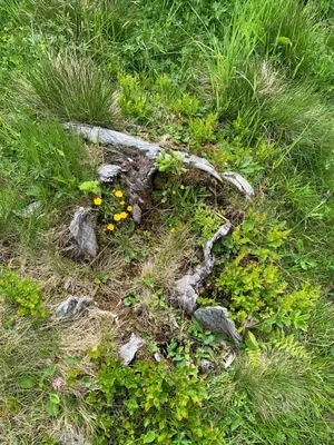 Naturlandschaft in der Nähe des Bed & Breakfasts