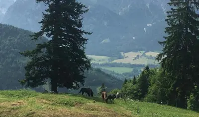 Naturlandschaft in der Nähe des Bed & Breakfasts