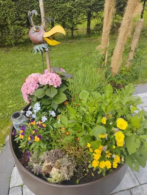 Ein Garten an der Unterkunft Kathis Burgblick