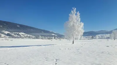 Apart Studio 71 im Winter
