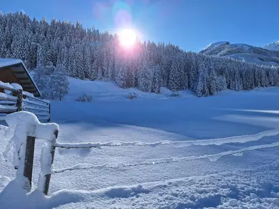 Ferienhaus Hinterhabneralm im Winter