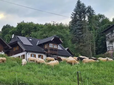 Das Gebäude in dem sich das Ferienhaus befindet