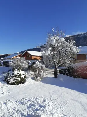 Appartement Steiner im Winter