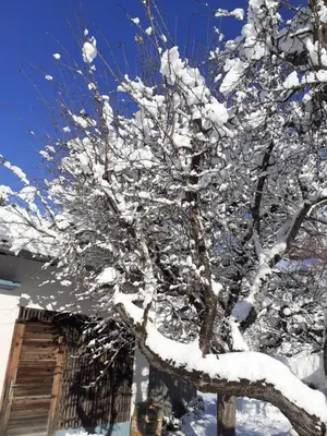 Appartement Steiner im Winter