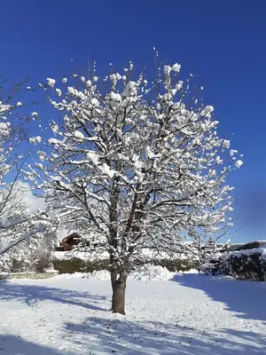 Appartement Steiner im Winter