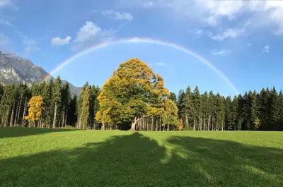 Naturlandschaft in der Nähe des Bed & Breakfasts