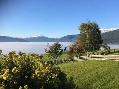 Naturlandschaft in der Nähe des Ferienhauses