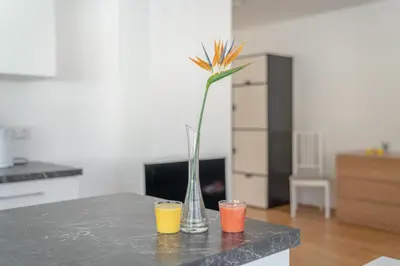 Küche/Küchenzeile in der Unterkunft Appartements Ramsau am Dachstein by Schladmingurlaub
