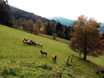 Naturlandschaft in der Nähe der Ferienwohnung