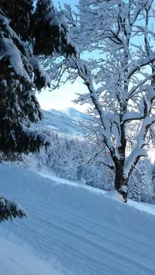 Apartment Lehengut im Winter