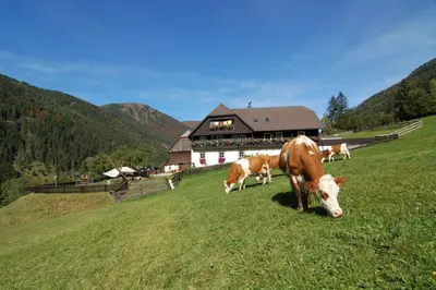 Tiere in der Ferienwohnung oder in der Nähe
