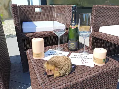 Getränke in der Unterkunft Wohlfühl-Ferienwohnung 