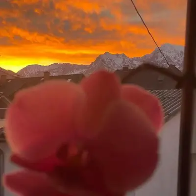 Alpenliebe