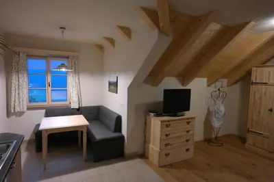 TV/Unterhaltungsangebot in der Unterkunft Landhaus Knödl-Alm