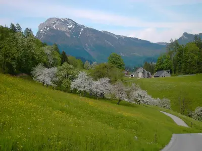 Naturlandschaft in der Nähe der Ferienwohnung