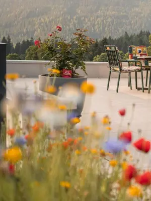Ein Garten an der Unterkunft Ferienhaus Dachsteinheim