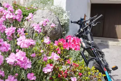 Radfahren an der Unterkunft Ferienhaus am Schwarzerberg oder in der Nähe