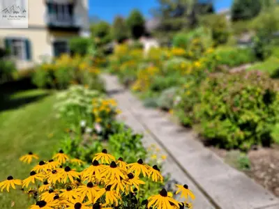 Ein Garten an der Unterkunft Nostalgie-Apartment Seeidylle