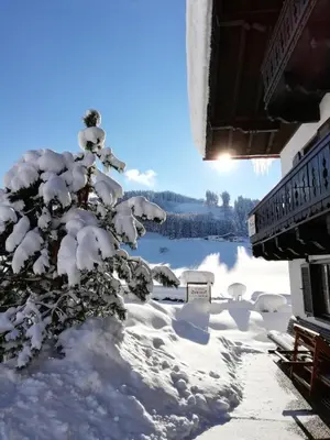 Pension Sonneck im Winter