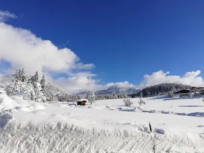 Pension Sonneck im Winter