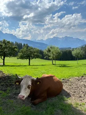 Naturlandschaft in der Nähe der Ferienwohnung