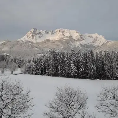 Frische Bergluft und ländlicher Charme - Ihr aktiver Urlaub am Mühlauhof
