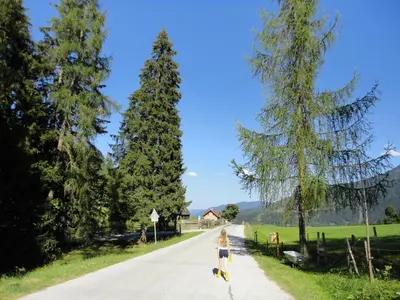 Naturlandschaft in der Nähe des Ferienhauses