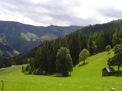 Naturlandschaft in der Nähe des Ferienhauses