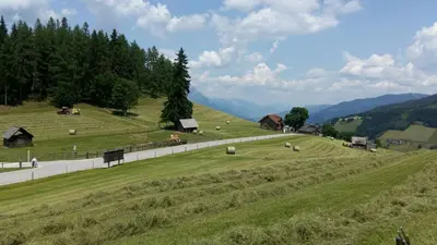 Naturlandschaft in der Nähe des Ferienhauses
