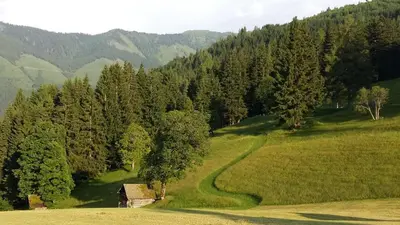 Naturlandschaft in der Nähe des Ferienhauses