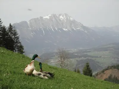 Naturlandschaft in der Nähe des Ferienhauses