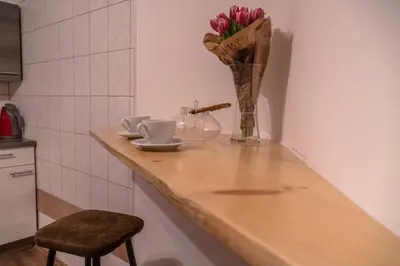 Küche/Küchenzeile in der Unterkunft Apartmenthaus Edelweiss in Gosau