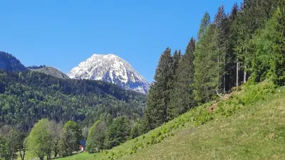 Naturlandschaft in der Nähe der Ferienwohnung