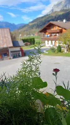 Ein allgemeiner Bergblick oder ein Berglick von der Ferienwohnung aus