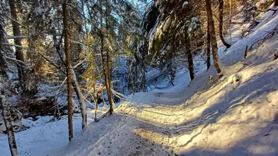 Prandhof Himmelbettwohnung im Winter